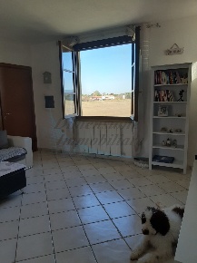 Foto Appartamento in Via Palazzeta  1, Rosignano Marittimo Rosignano Solvay