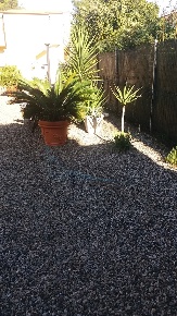 Foto Appartamento a Rosignano Marittimo di 78 m² con 4 locali in vendita