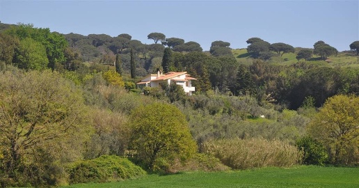Foto Villa a Rosignano Marittimo in vendita