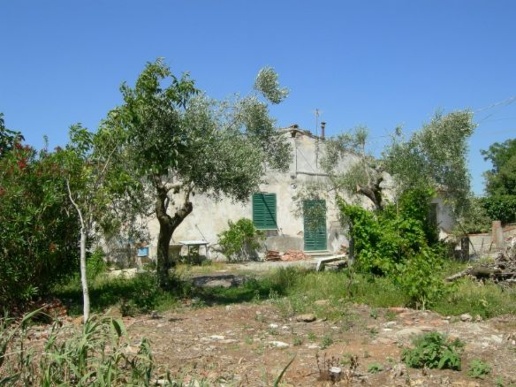 immagine annuncio 1 di 8