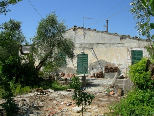 immagine annuncio 2 di 8