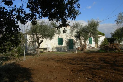 immagine annuncio 7 di 8