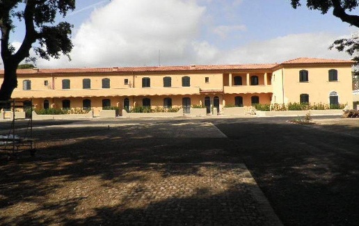 immagine annuncio 10 di 12