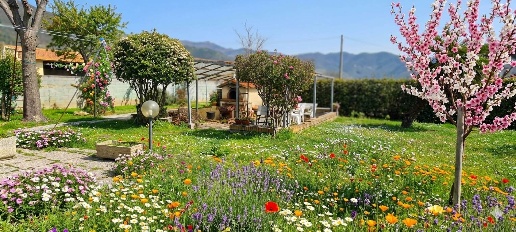 Foto Villa unifamiliare a San Giuliano Terme Colignola, Campo di 206 m²
