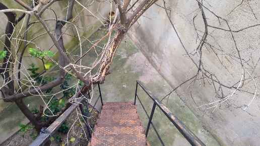 immagine annuncio 4 di 7