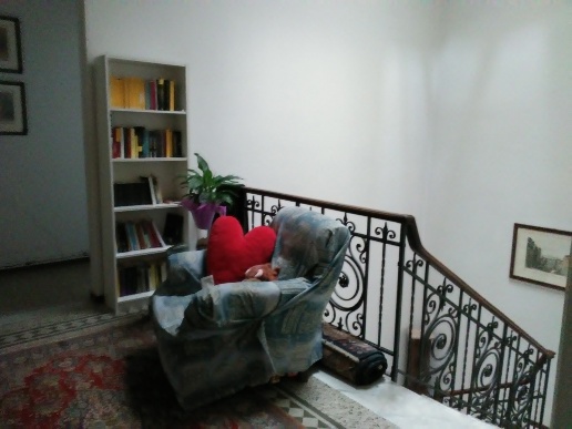 immagine annuncio 4 di 8
