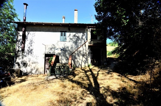 immagine annuncio 1 di 7