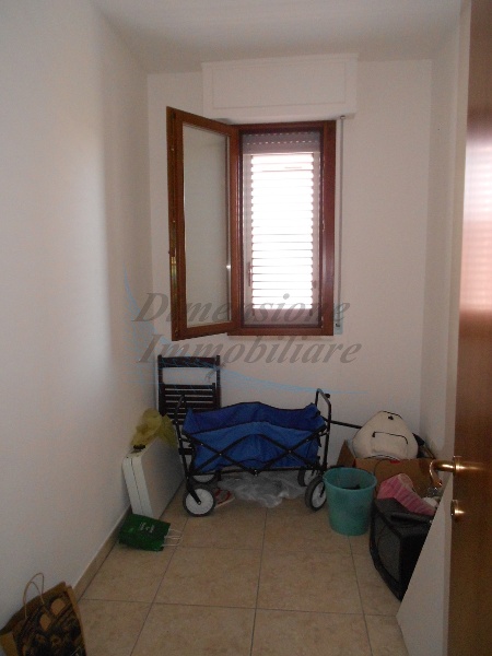 immagine annuncio 6 di 14