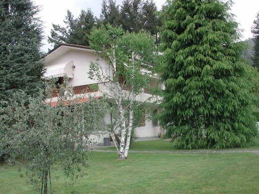 immagine annuncio 4 di 14
