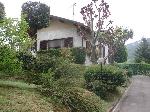 immagine annuncio 11 di 14