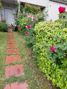 Foto Villa unifamiliare a Arezzo San Donato - Ospedale di 207 m² in vendita