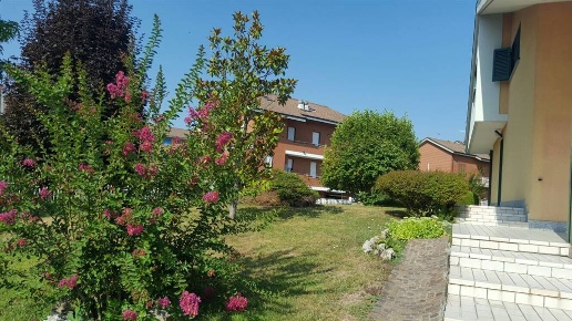 immagine annuncio 2 di 12