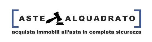 immagine annuncio 6 di 13
