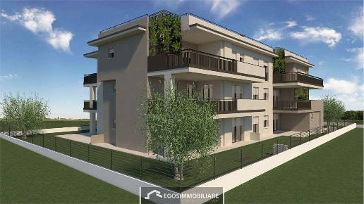 immagine annuncio 3 di 12