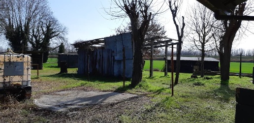 immagine annuncio 5 di 14