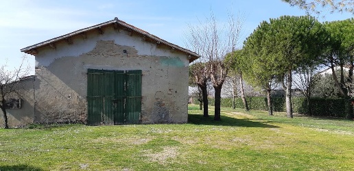 immagine annuncio 6 di 14