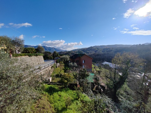 immagine annuncio 3 di 11