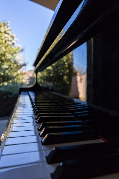 immagine annuncio 8 di 15