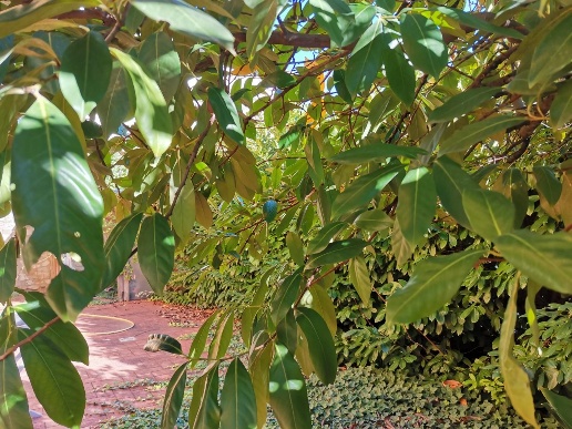 immagine annuncio 11 di 14