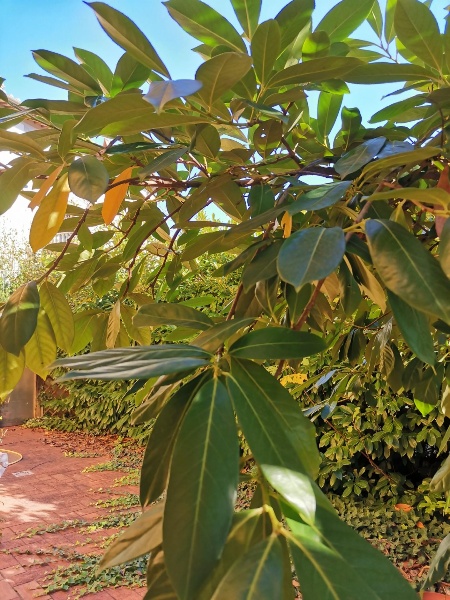 immagine annuncio 12 di 14