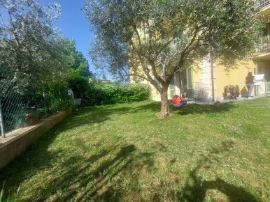 Foto Appartamento a Massa in vendita