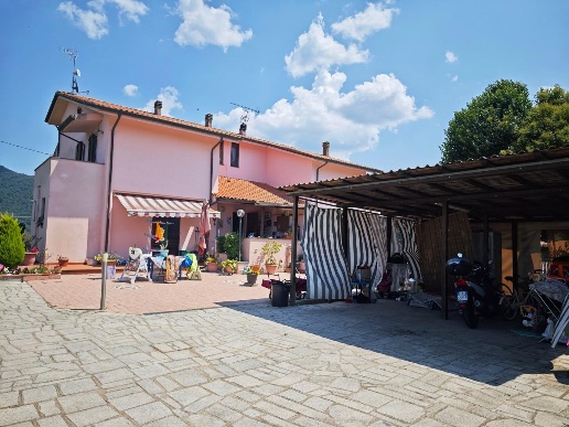 immagine annuncio 3 di 11