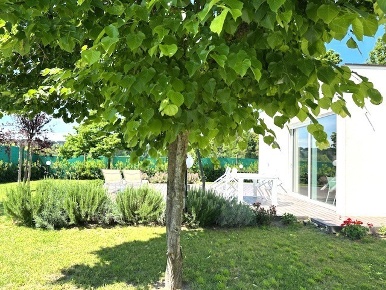 Foto Villa unifamiliare a Viareggio Darsena - Ex Campo di Aviazione