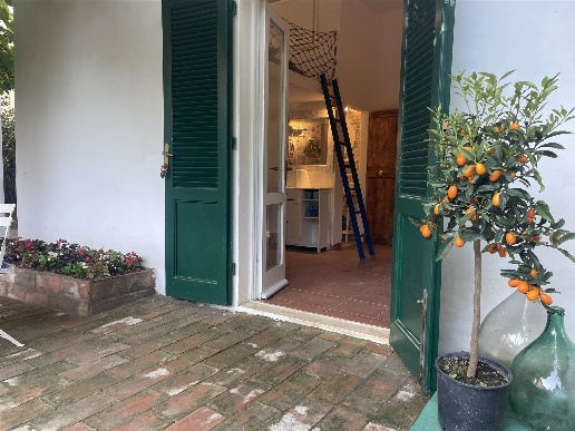 immagine annuncio 7 di 14