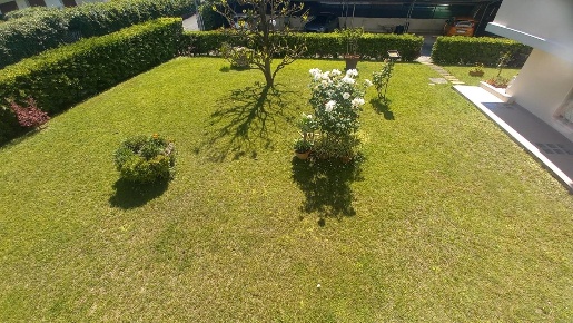 Foto Appartamento a Viareggio in vendita