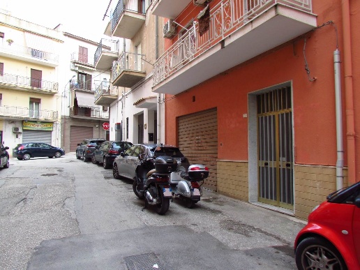 immagine annuncio 1 di 14