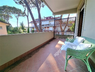 Foto Appartamento a Massa in vendita