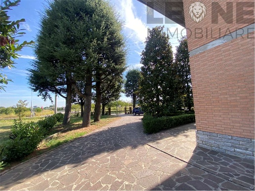 immagine annuncio 6 di 8