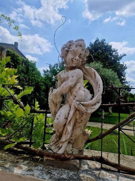 immagine annuncio 7 di 15