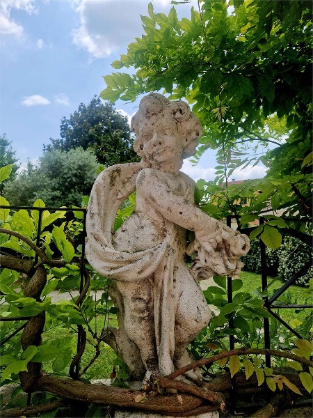 immagine annuncio 12 di 15