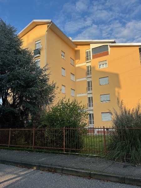 immagine annuncio 12 di 13
