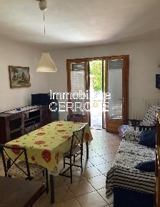 Foto Appartamento a Cecina in affitto