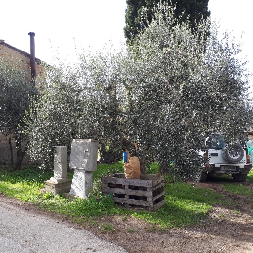 immagine annuncio 8 di 10