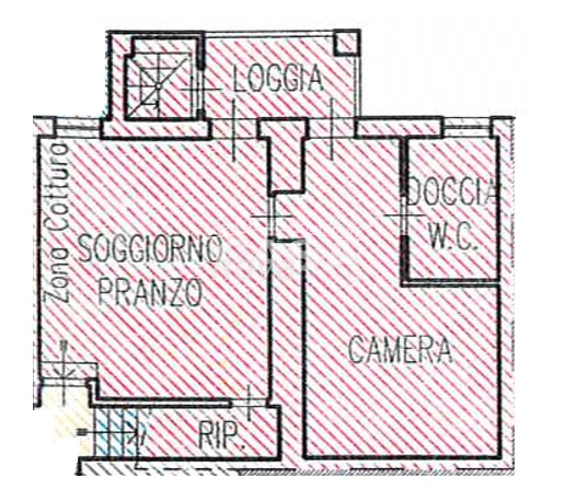 immagine annuncio 4 di 14