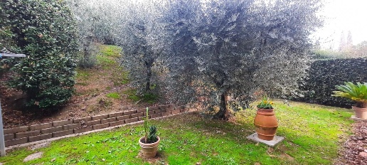 Foto Villa bifamiliare a San Miniato Ponte a Egola, Stibbio di 200 m²