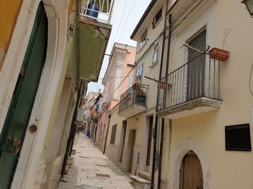 immagine annuncio 1 di 14