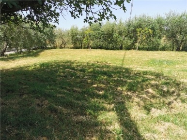 Foto Villa unifamiliare in ISOLA, San Miniato Isola, Roffia di 480 m²
