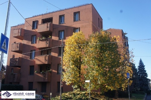 immagine annuncio 1 di 14