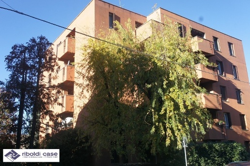 immagine annuncio 3 di 14