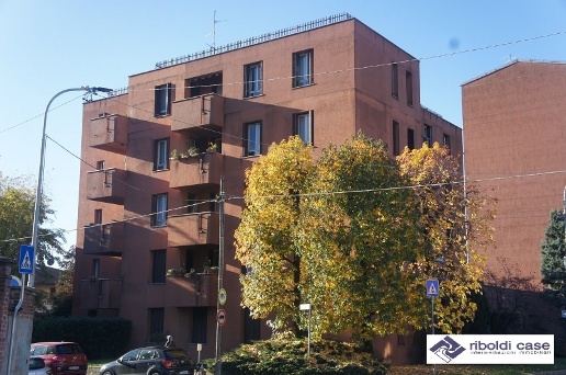 immagine annuncio 6 di 14