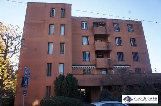 immagine annuncio 11 di 14