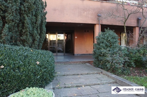 immagine annuncio 12 di 14