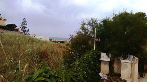 immagine annuncio 12 di 14