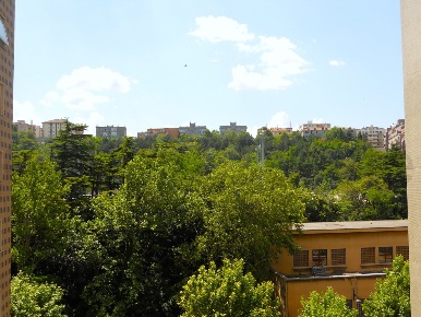 Foto Appartamento a Trieste in vendita
