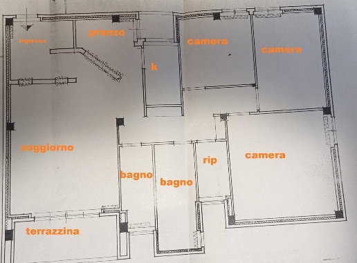 immagine annuncio 11 di 12