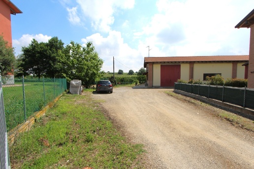 immagine annuncio 12 di 15